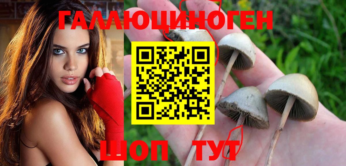 Псилоцибиновые грибы мухоморы Волгоград