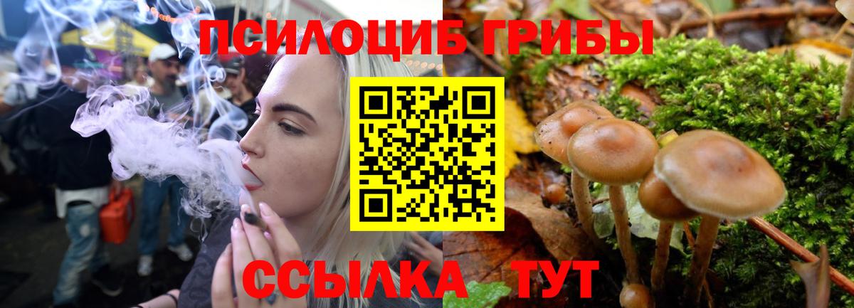 Галлюциногенные грибы Psilocybine cubensis  наркота  Волгоград  Галлюциногенные грибы GOLDEN TEACHER  Вход с VPN 